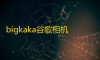 bigkaka谷歌相机稳定版